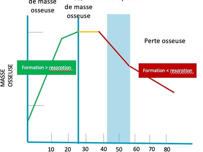  Êtes-vous bien dans vos os ?