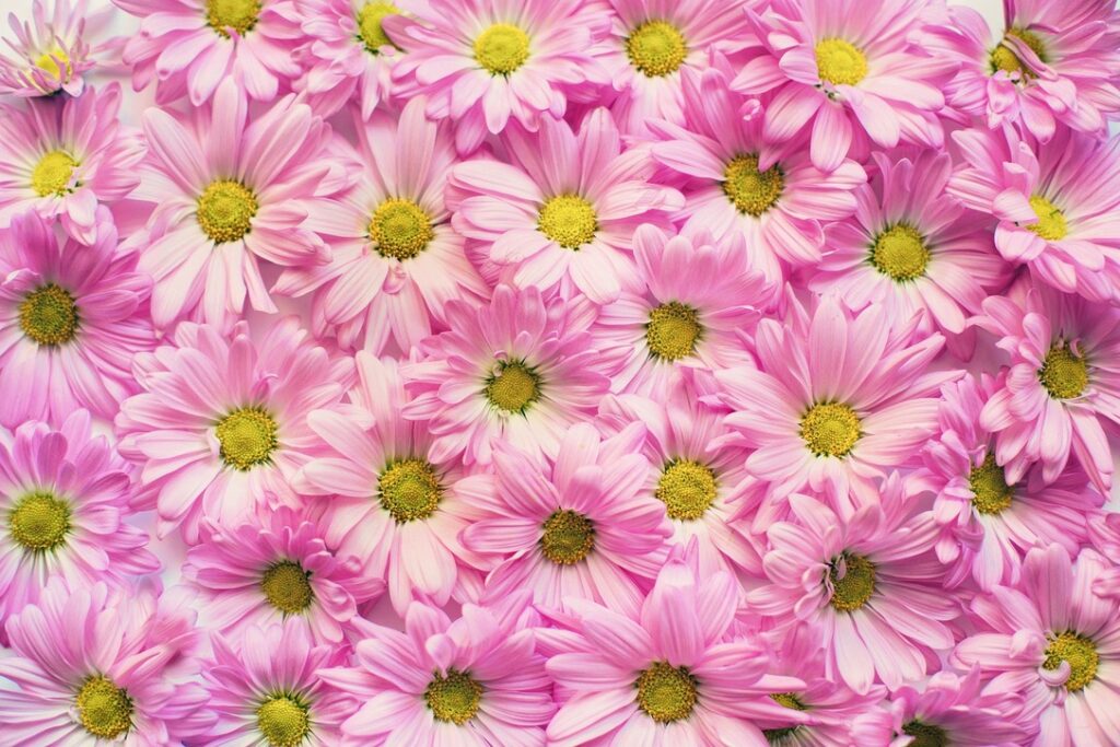  6 clés pour vous libérer de vos peurs.